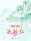 献上炽热的心，来娶你